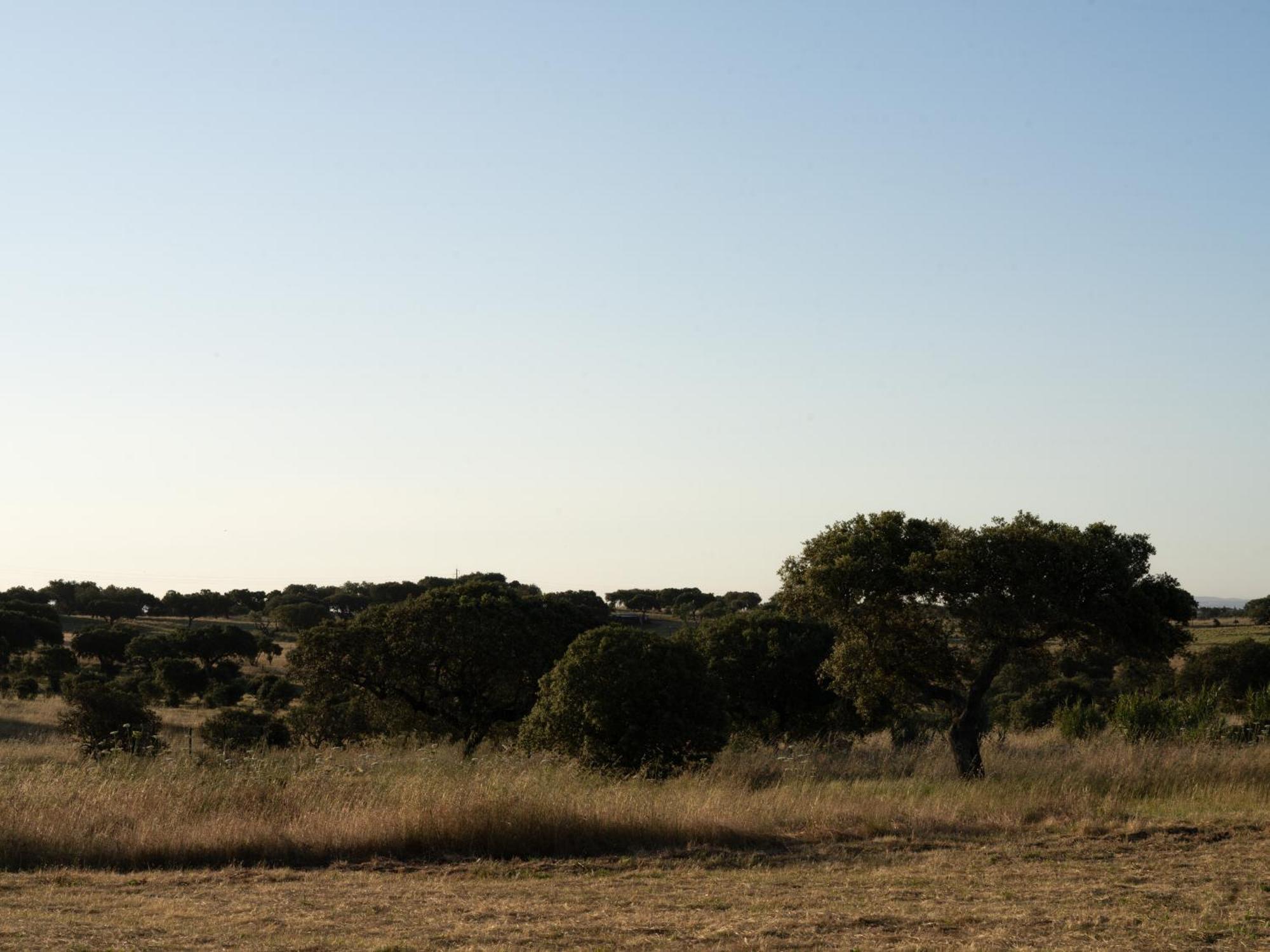 Change The World - Herdade Monte Do Peral Montes Juntos Dış mekan fotoğraf